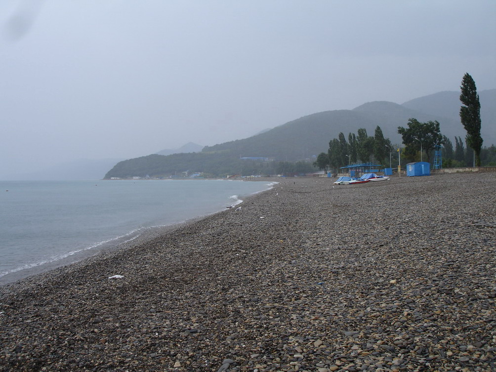2006_11