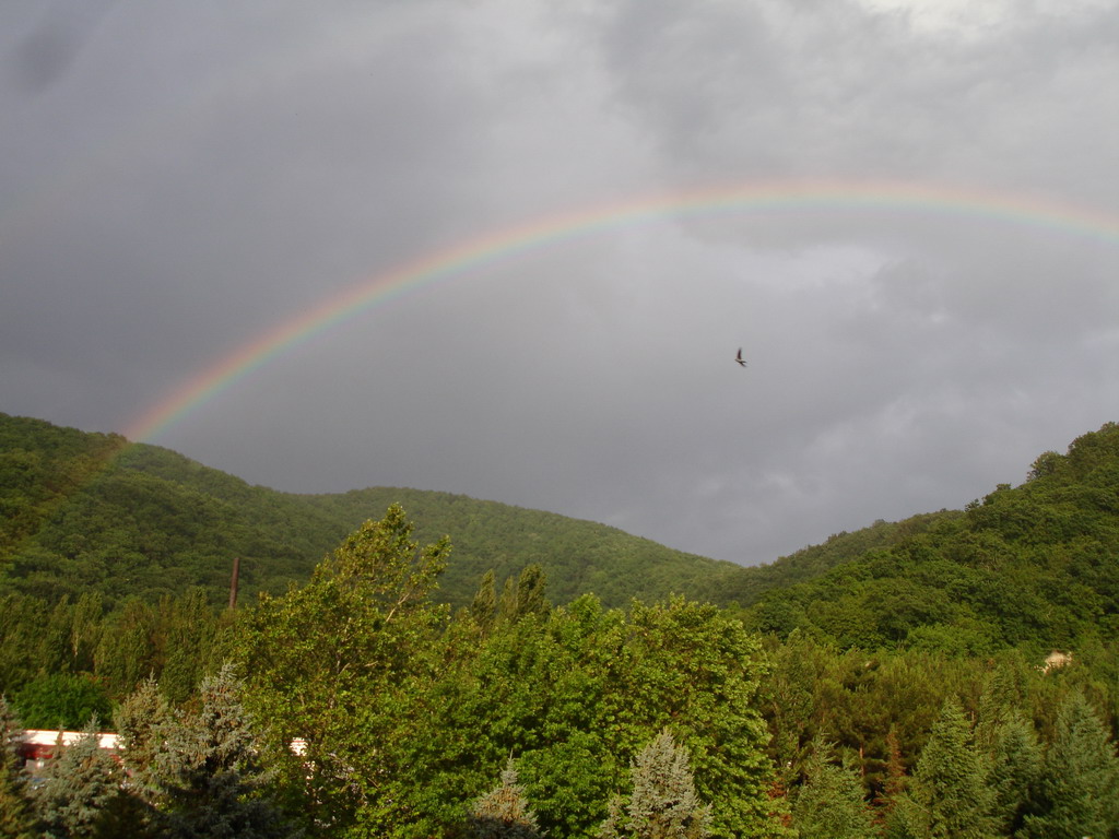 2006_14