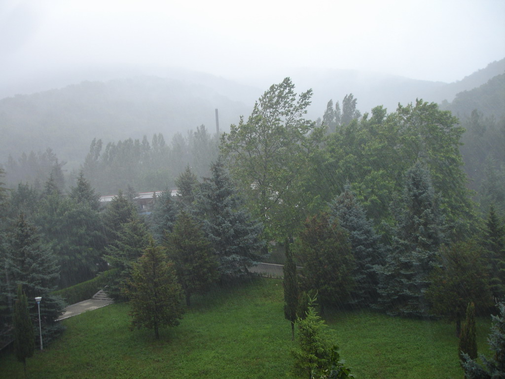 2006_15