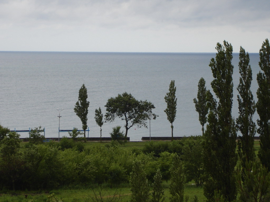 2006_16