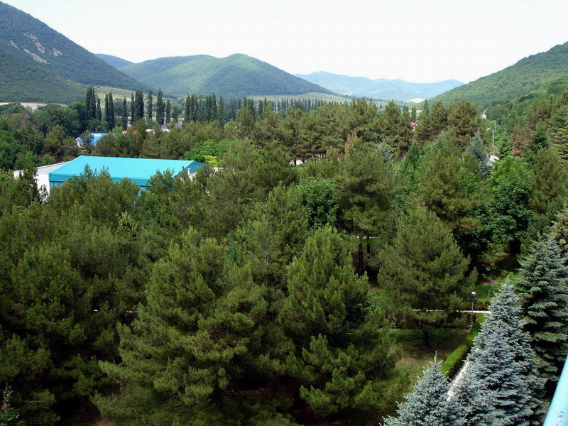 2006_21