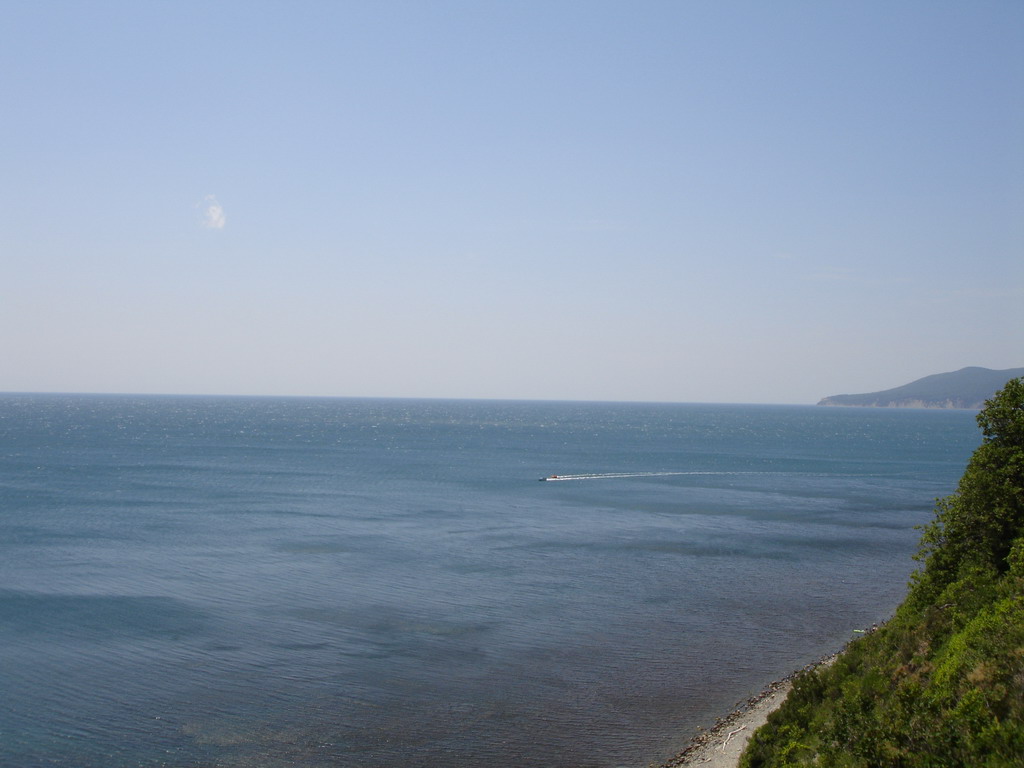 20006_3