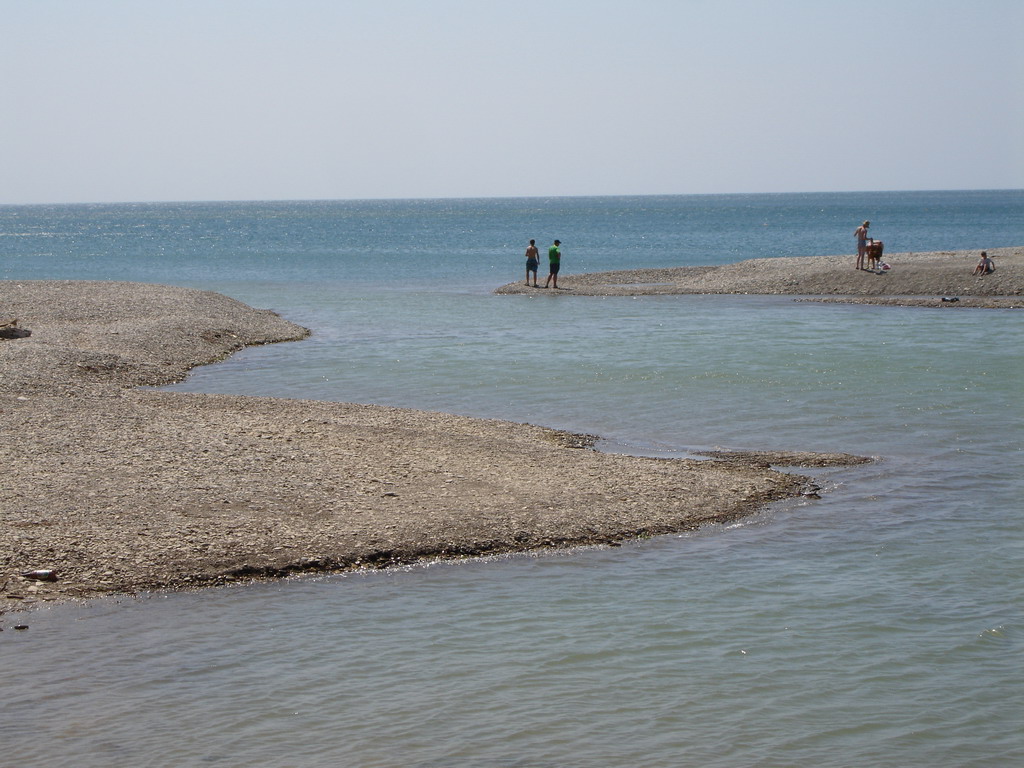 2006_5