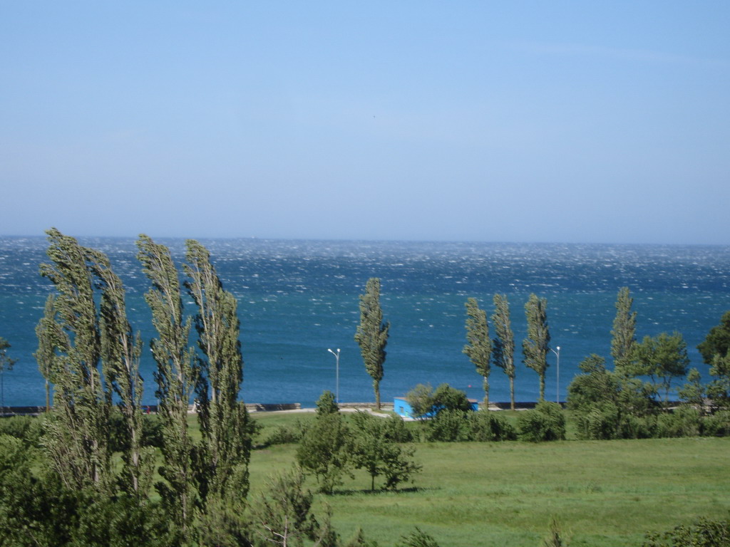 2006_6